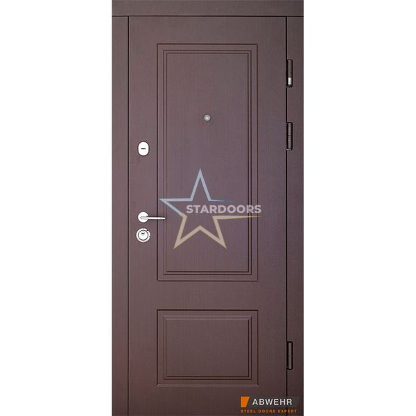 Ramina Classic вхідні двері 509-KC фото