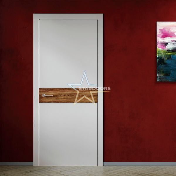 Міжкімнатні двері Rodos Berta-GW глухе, фарба RAL, вставка браш 242 Loft фото