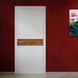 Міжкімнатні двері Rodos Berta-GW глухе, фарба RAL, вставка браш 242 Loft фото 1